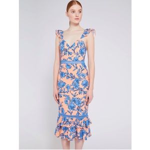 NWT! Alice + Olivia Jade Ruffle-Strap Floral Dress